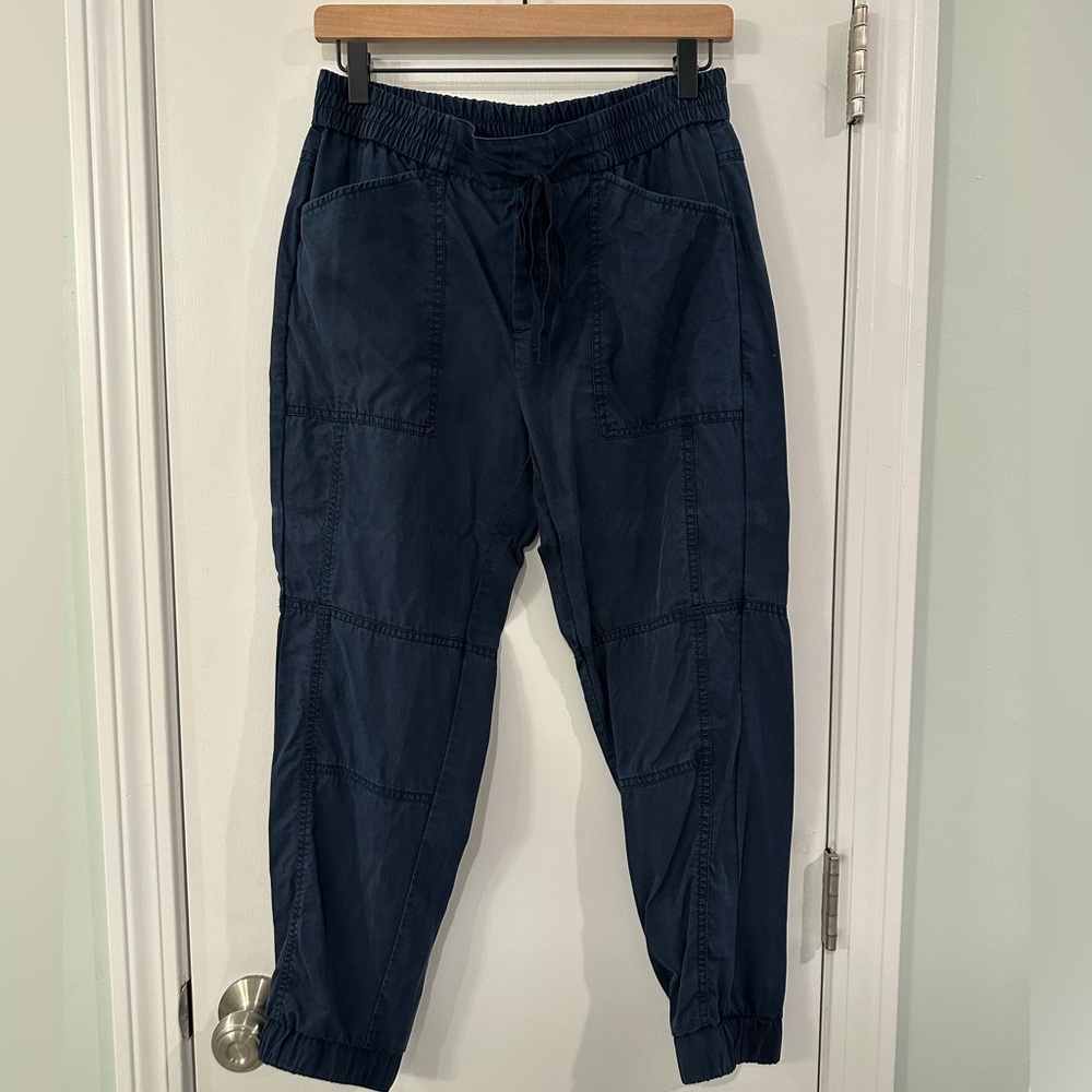 Banana Republic lyocell joggers